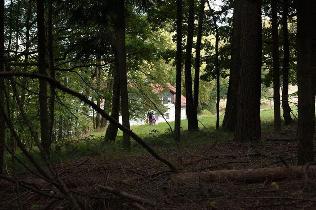 Wald-Apartment Limabach - Oberfrohna Eksteriør billede
