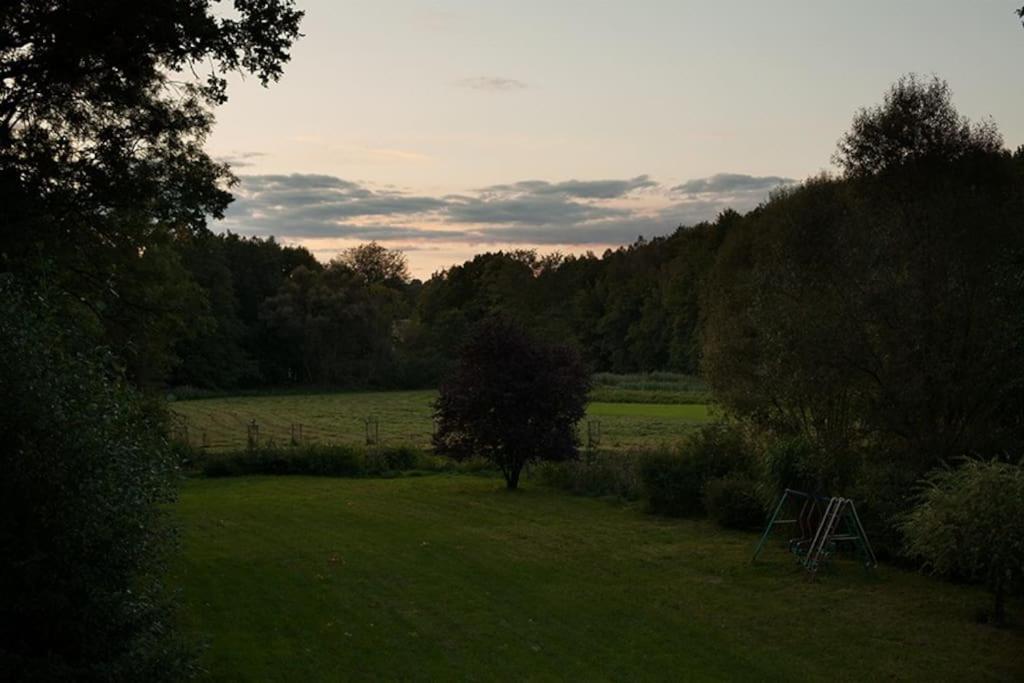 Wald-Apartment Limabach - Oberfrohna Eksteriør billede