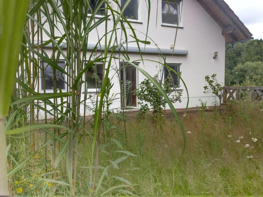 Wald-Apartment Limabach - Oberfrohna Eksteriør billede