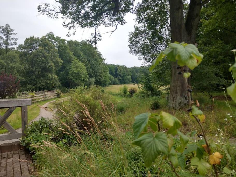 Wald-Apartment Limabach - Oberfrohna Eksteriør billede