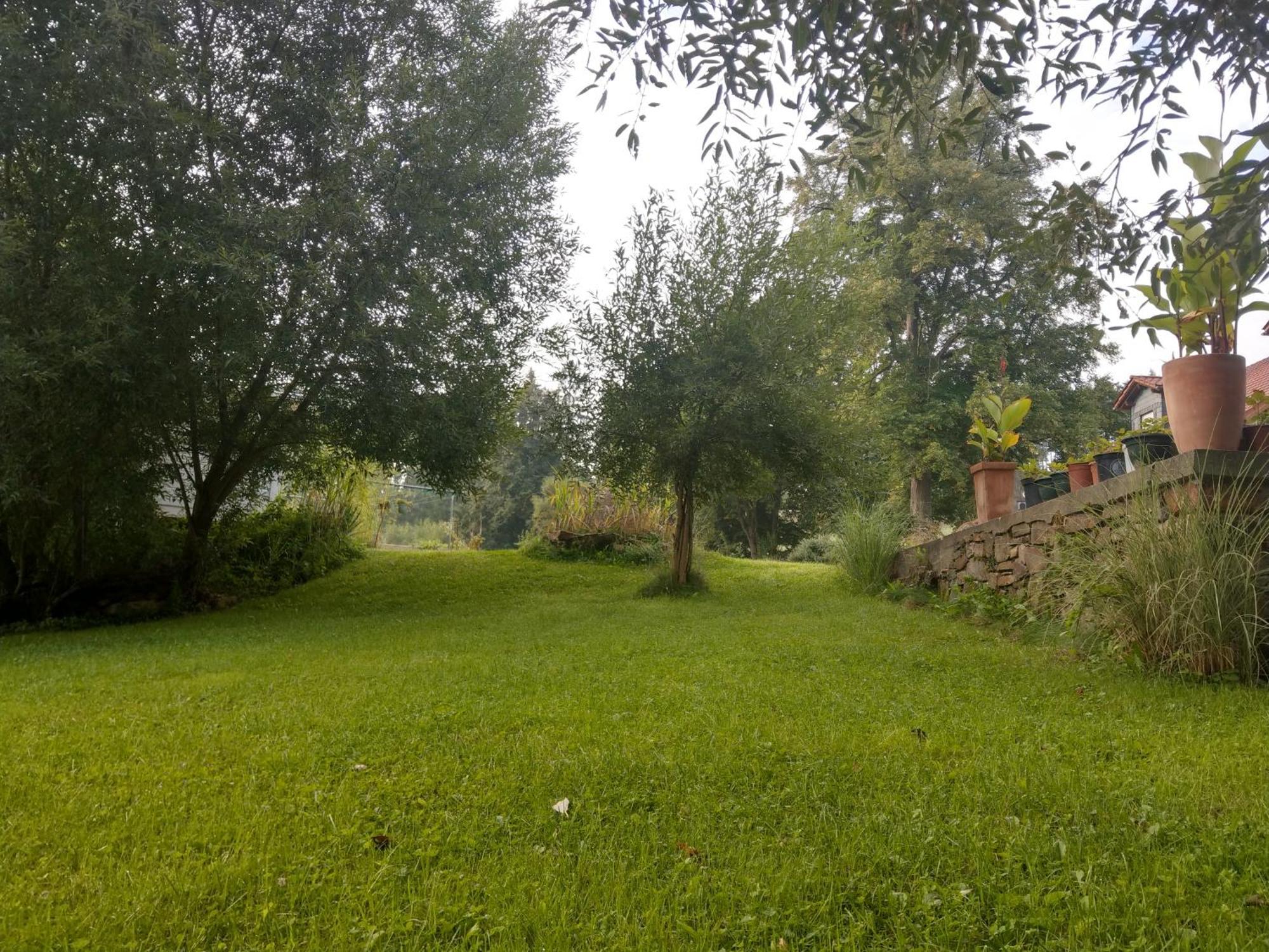 Wald-Apartment Limabach - Oberfrohna Eksteriør billede