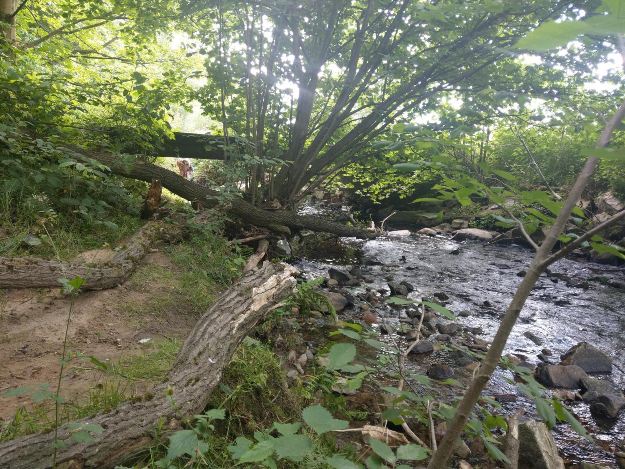 Wald-Apartment Limabach - Oberfrohna Eksteriør billede
